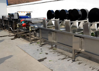 Máquina vegetal do processador do OEM, velocidade running ajustável da máquina do secador do alimento