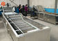 Equipamento de lavagem vegetal industrial 800 da capacidade das economias Kg/H da eficiência elevada da água
